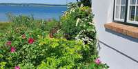 Ausblick Terrasse