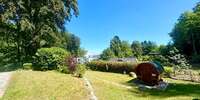 Blick in den Gartenbereich