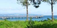 Seebrücke Ostseebad Binz